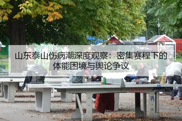 shan-dong-tai-shan-shang-bing-chao-shen-du-guan-cha-mi-ji-sai-cheng-xia-de-ti-neng-kun-jing-yu-yu-lun-zheng-yi-2-698.jpg
